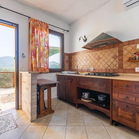 Lovely House